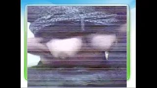 nice peruvian tits on msn