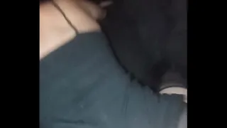 Vixen gets fucked doggy