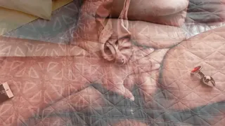 I convinced my neighbor to fuck her even though she was very shy and inexperienced - Part 2