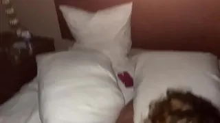 Lemlemon fucked doggy dawgy