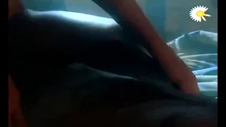 andrea sex with police