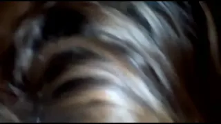 maraca
