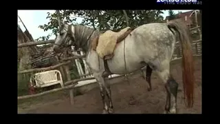Piss drinkING cow girl