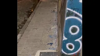Sucking cock until milked in Palermo Argentina