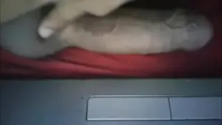 rich cock