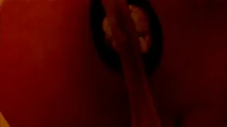 Butt Plug inserted