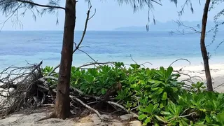 Solo Island Fuckfest - fuck all day pinay