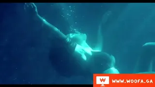 woofa PMV #4
