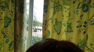 Window