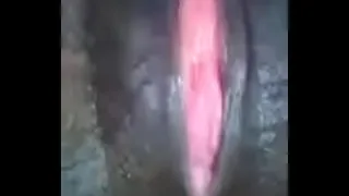 Wet pussy