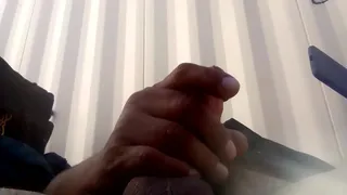 Nice size cock looking to pump a nice tight pussy!