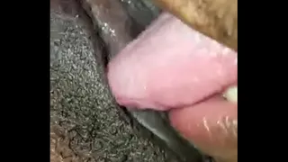 Higher experience pussy sucking