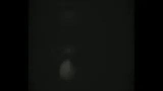 Pussy play