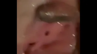 Bhaluulai screaming fun