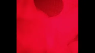 good fuck with my 23cm cock. with my panatella