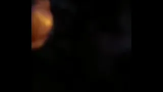 Japa little bitch sucking my cock