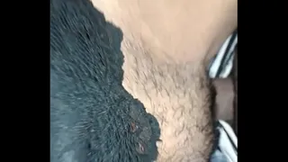 eating my bitch in the car