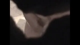 spying on brenda