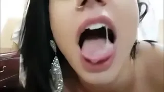 Fell not net