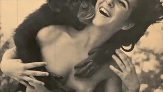 49 big dick black cock retro classic