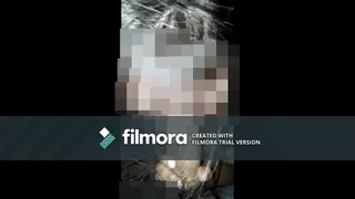 my rich mine with my penis in her mouth