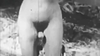Two Centuries Of Retro Porn