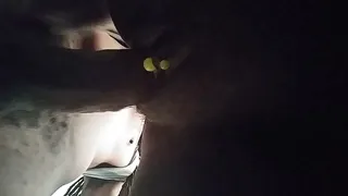 Backshots view