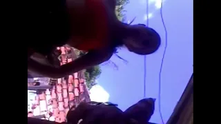 naughty Chupano a dove