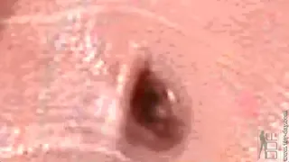 Rubbing Rooster to Climax 🔥