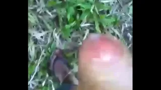 naughty hit one in the woods