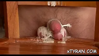 Sultry darling Virus Vellons gets awarded with sex