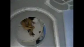 she got hooked