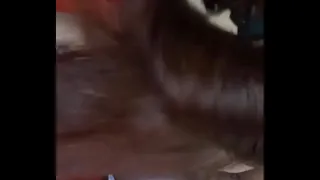 shower her in cum
