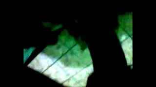 Brazil Recife-fucked Sara-Morena delicious slender shaved pussy is going to cum or not