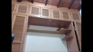 Amateur Awezzzzumcum Free Shemale Webcam Porn Video live TRANNYCAMS69.COM