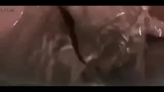 hot crab in the bathtub