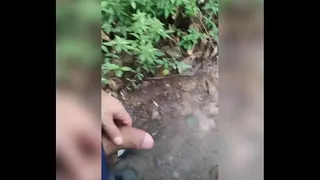 Walking around the park with his dick out of his shorts.