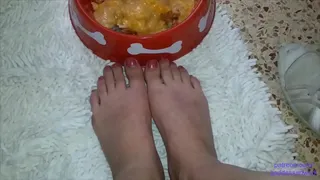 Preparing Yummy Spit Meal for Slave Puppy