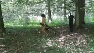 young slave in t.