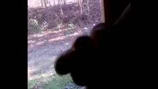 jacking off