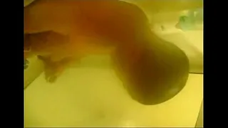 young stud fuck session
