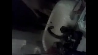 CAM00907