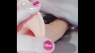 pussy
