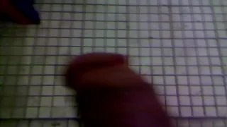 VID 20140206 001056
