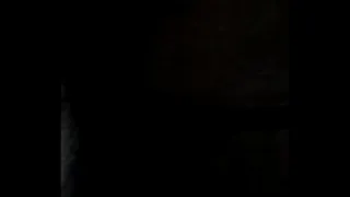 Pussy