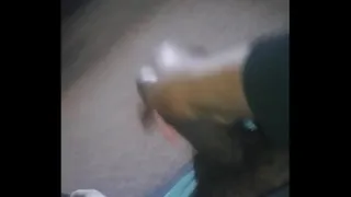 20160326 160835