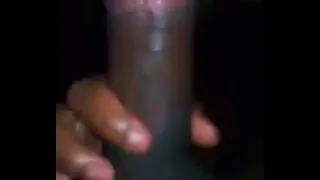 swallow everything