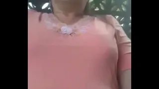 Cucumber swallow