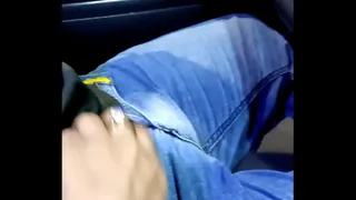 Sexy girl sucks the taxi driver cock