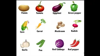 VEGETABLE IN THE PUSSY - DON'T DO IT! - FULL EXPLANATION